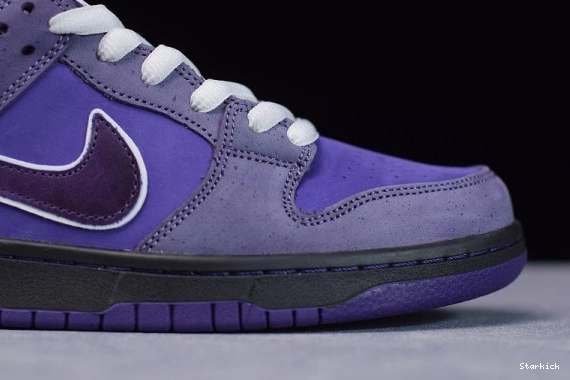 Purple Nike Lobster Dunk BV1310-555 Low SB Concepts 1231